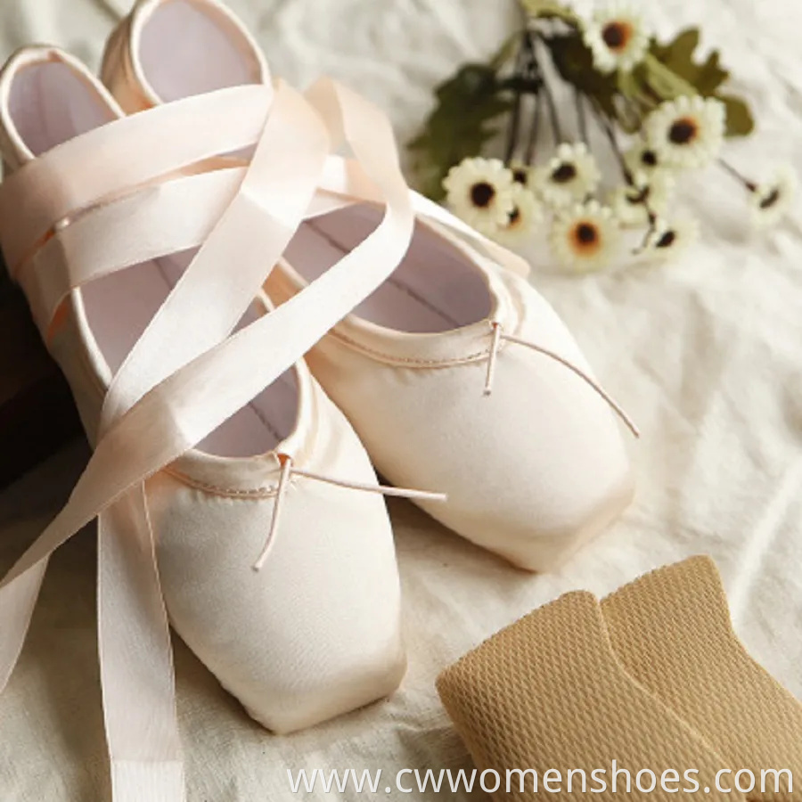 Pointe Shoes Ballet Dance Toe Shoes Soft Wbb13805